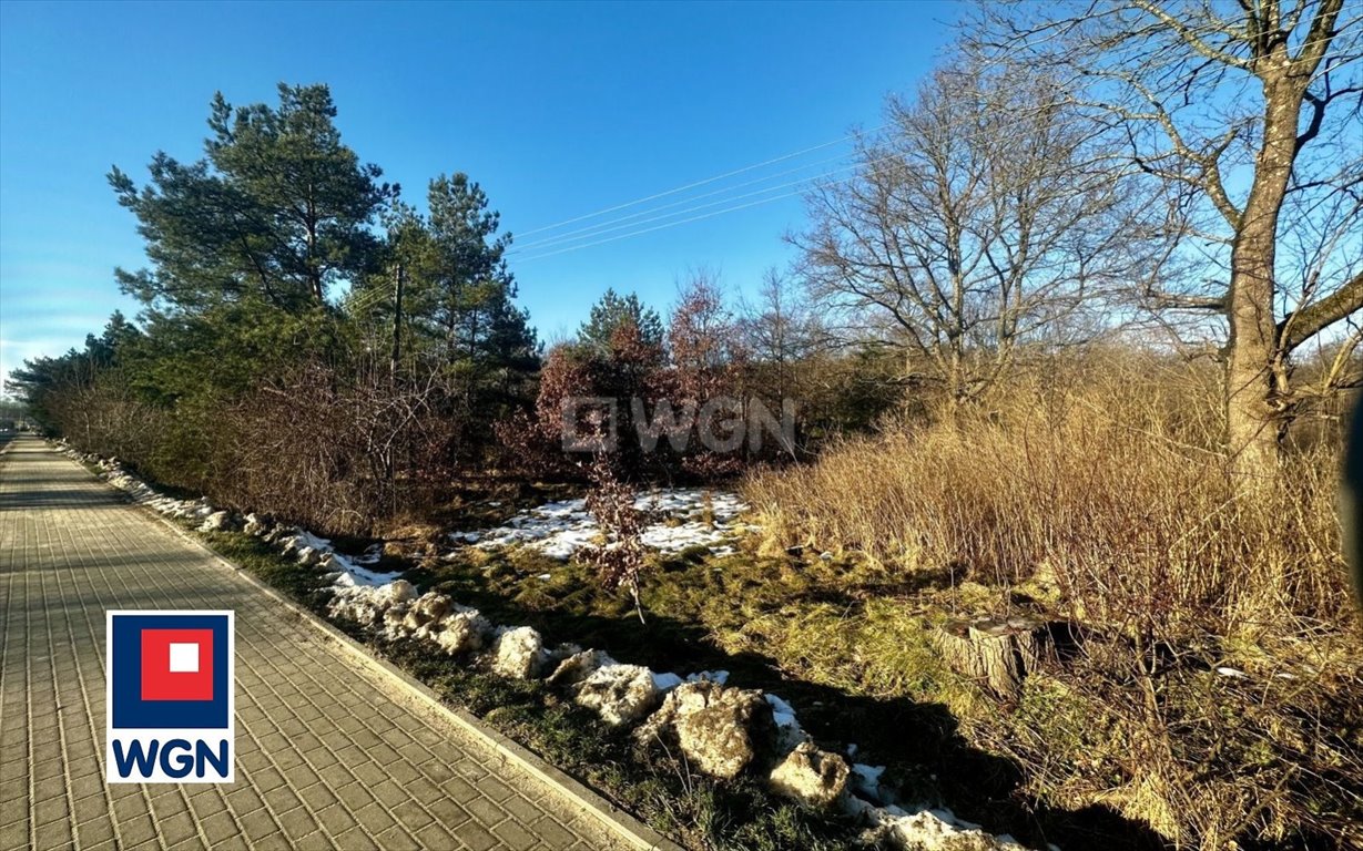 Działka rolna na sprzedaż Dębnica Kaszubska, Ks. Antoniego Kani  5 700m2 Foto 8