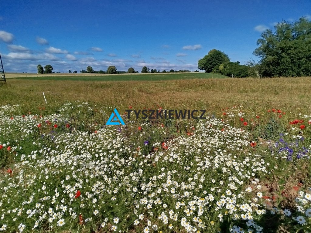 Działka budowlana na sprzedaż Starogard Gdański, Druha Józefa Grzybka  3 829m2 Foto 1