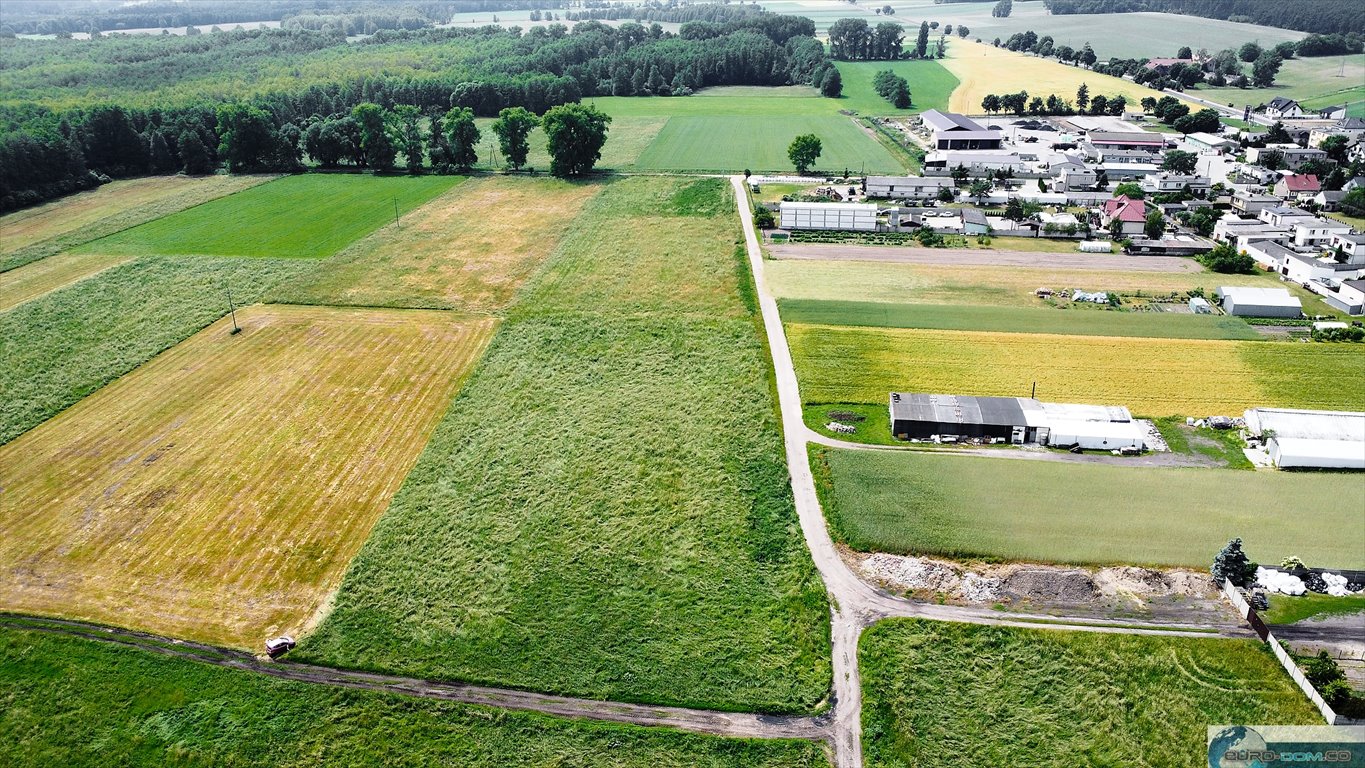 Działka budowlana na sprzedaż Wielichowo  656m2 Foto 10