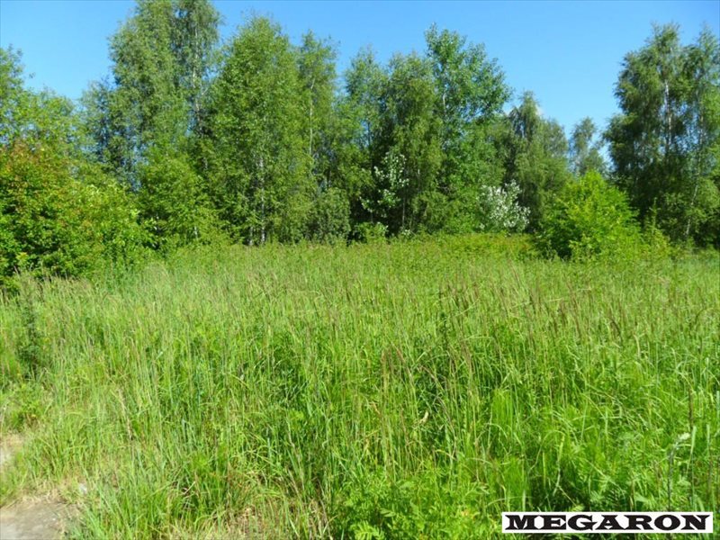 Duża działka 10 614 m² z możliwością zabudowy zapraszam Częstochowa, Rząsawy  10 614m2 Foto 1