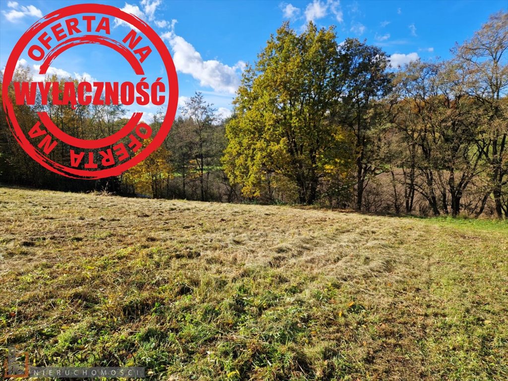 Działka budowlana z mediami, widokowa, 24,91 ara Maszków  2 491m2 Foto 1