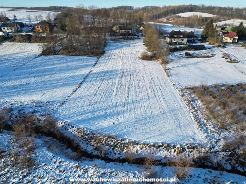 Działka budowlana na sprzedaż Kalina Wielka  4 700m2 Foto 5