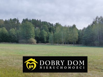 Działka rolna na sprzedaż Folwarki Wielkie  29 100m2 Foto 14