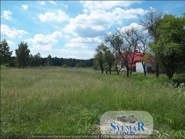 Działka budowlana na sprzedaż Chojnów  10 200m2 Foto 1