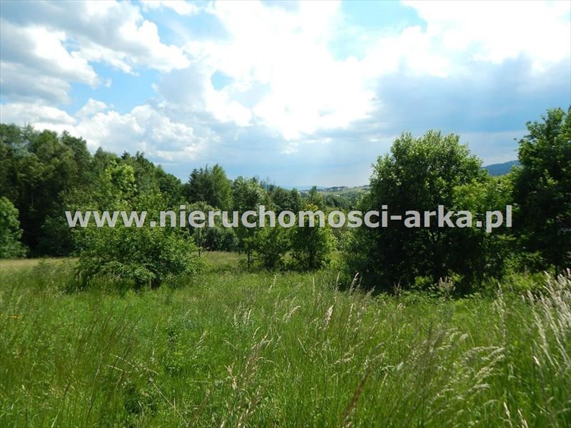 Działka budowlana na sprzedaż Kasina Wielka 1 500m2 Foto 1 Działka budowlana na sprzedaż Kasina Wielka 1 500m2 Foto 1
