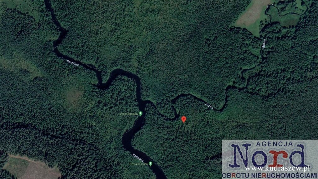 Działka nad Rospudą i Blizną 12,7 ha, natura i spokój Szczebra  12 743m2 Foto 1