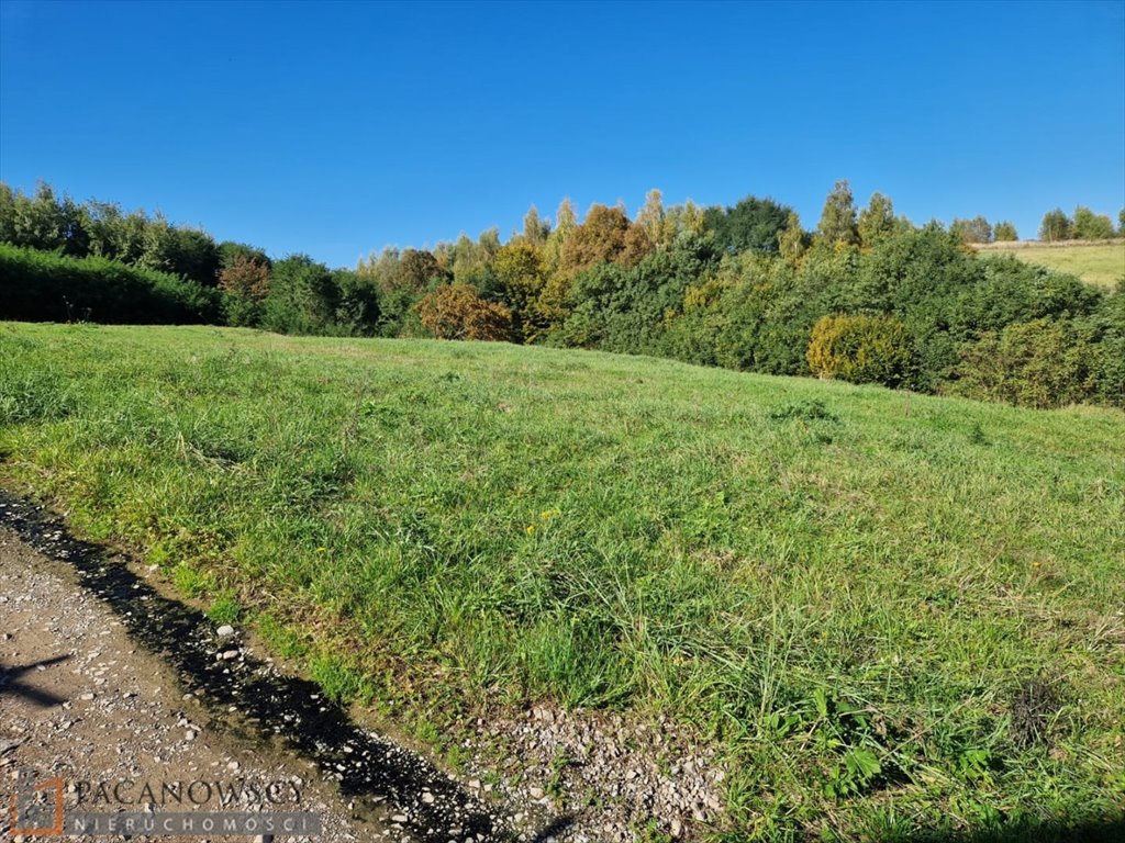 Działka budowlana na sprzedaż Michałowice  4 400m2 Foto 6