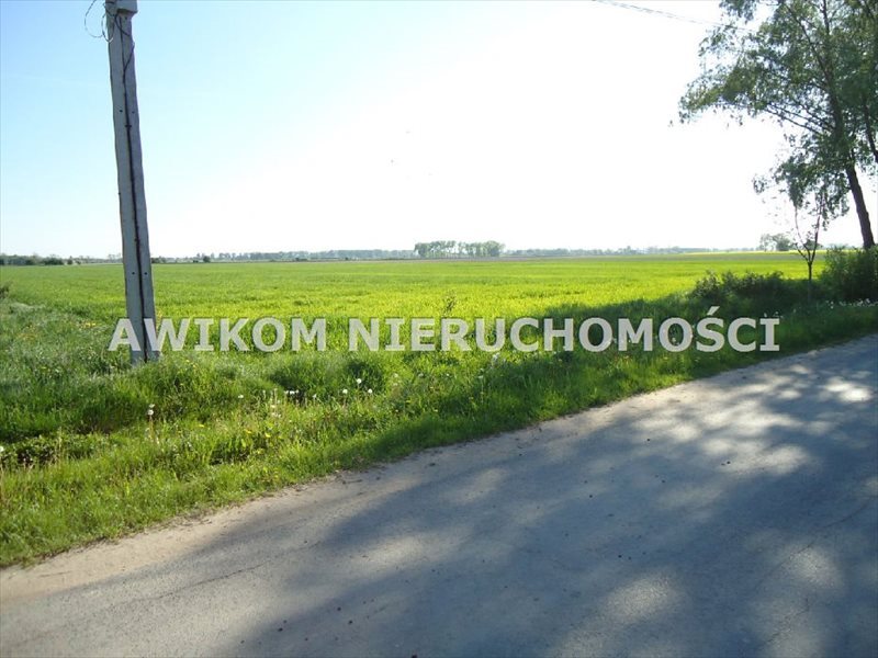 Działka rolno-budowlana 49 800 m², media, blisko autostrady Grodzisk Mazowiecki, Kłudno Nowe  49 800m2 Foto 1