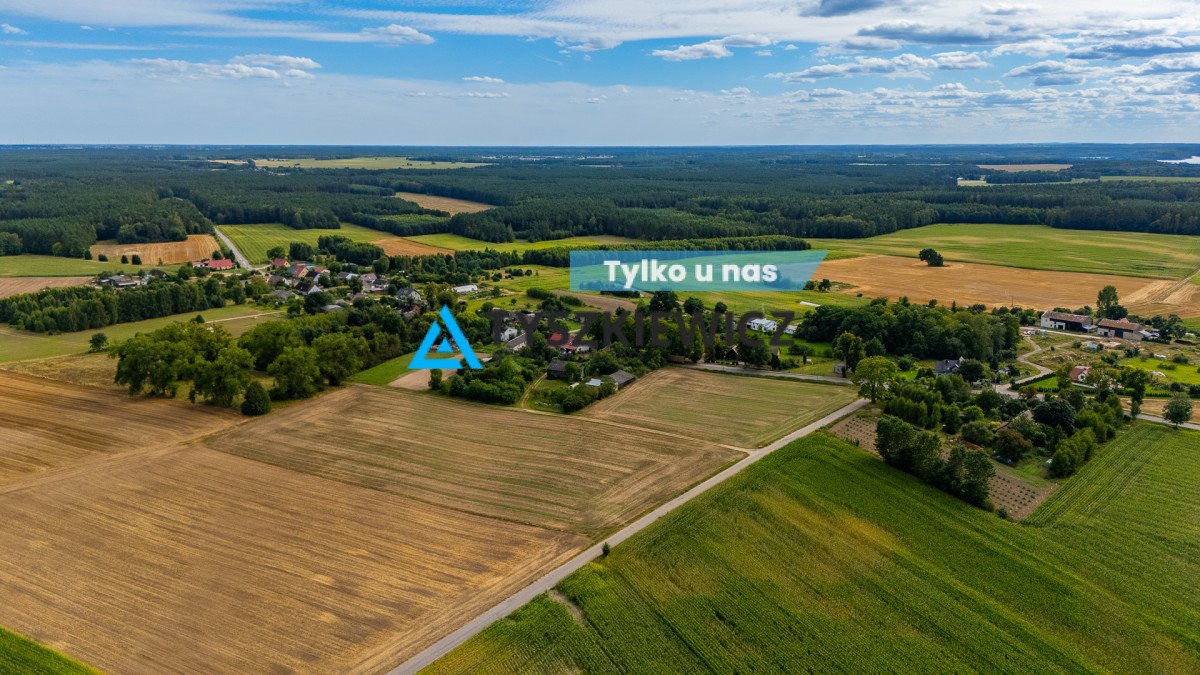 Działka rolna na sprzedaż Lisewo  28 900m2 Foto 1