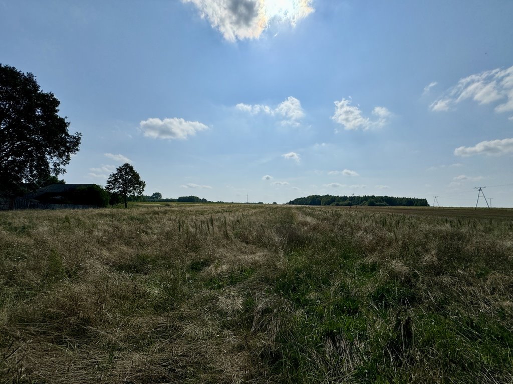 Działka budowlana na sprzedaż Kamostek  9 000m2 Foto 3