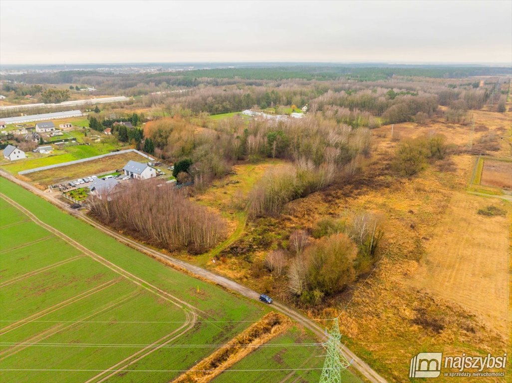 Działka rolna na sprzedaż Żółwia Błoć, Wieś  23 800m2 Foto 10