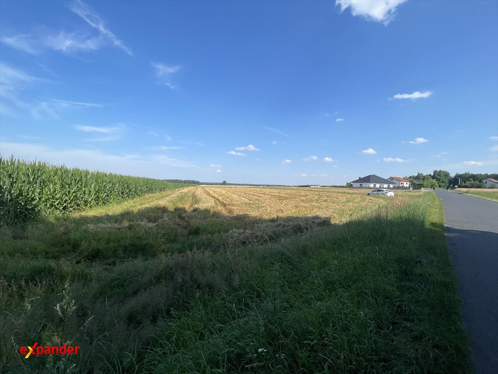Sprzedam działkę 1000 m² z mediami i asfaltowym dojazdem Stropieszyn  1 000m2 Foto 1
