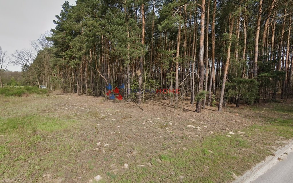 Działka budowlana na sprzedaż Marylka  1 002m2 Foto 3