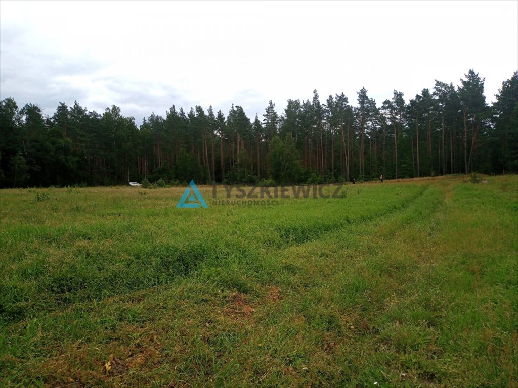 Działka rolna na sprzedaż Borzechowo, Kociewska  3 296m2 Foto 2