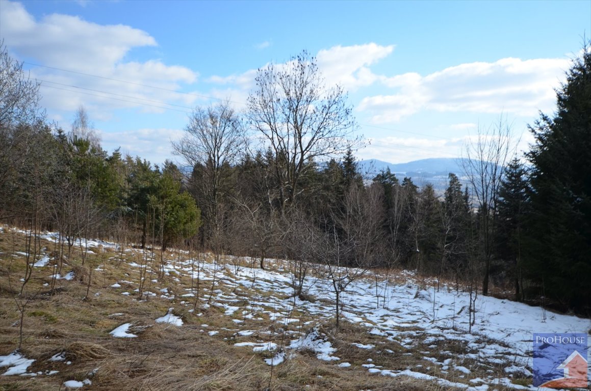 Działka inna na sprzedaż Zamieście  16 400m2 Foto 18