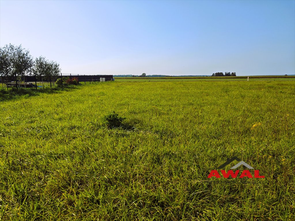 Działka budowlana na sprzedaż Połczyno, Polna  800m2 Foto 21