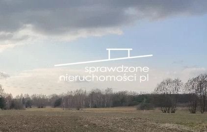 Działka budowlana na sprzedaż Kotorydz, ul. Leszowa  1 150m2 Foto 2