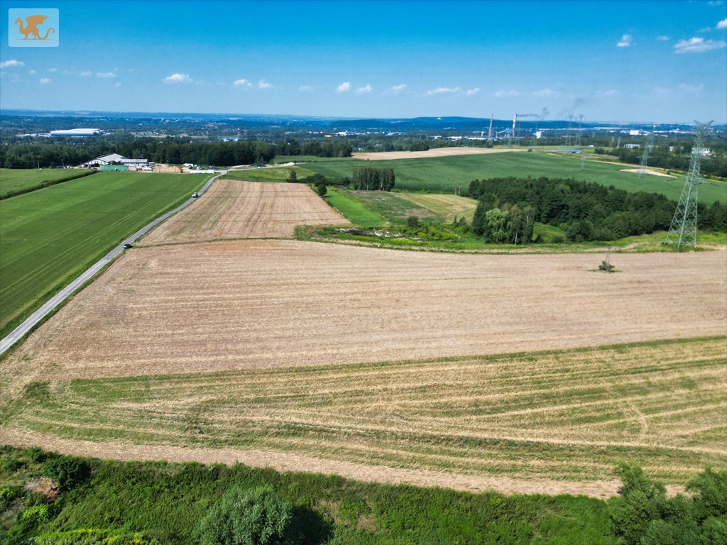 Polecam dużą działkę 1,24 ha w Gołuchowicach z potencjałem inwestycyjnym Gołuchowice  12 400m2 Foto 1