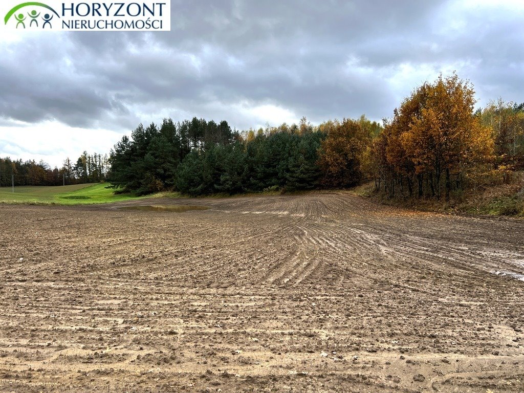 Zapraszam do obejrzenia dużej działki 14 200 m² w Kaszubach Mściszewice  14 200m2 Foto 1