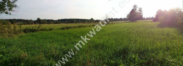 Działka rolna na sprzedaż Antoniew, mkwadrat.eu - tylko sprawdzone oferty  50 000m2 Foto 3