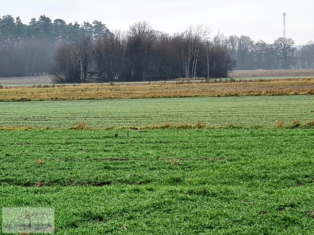 Działka budowlana na sprzedaż Gajówka, Gajówka  4 500m2 Foto 7