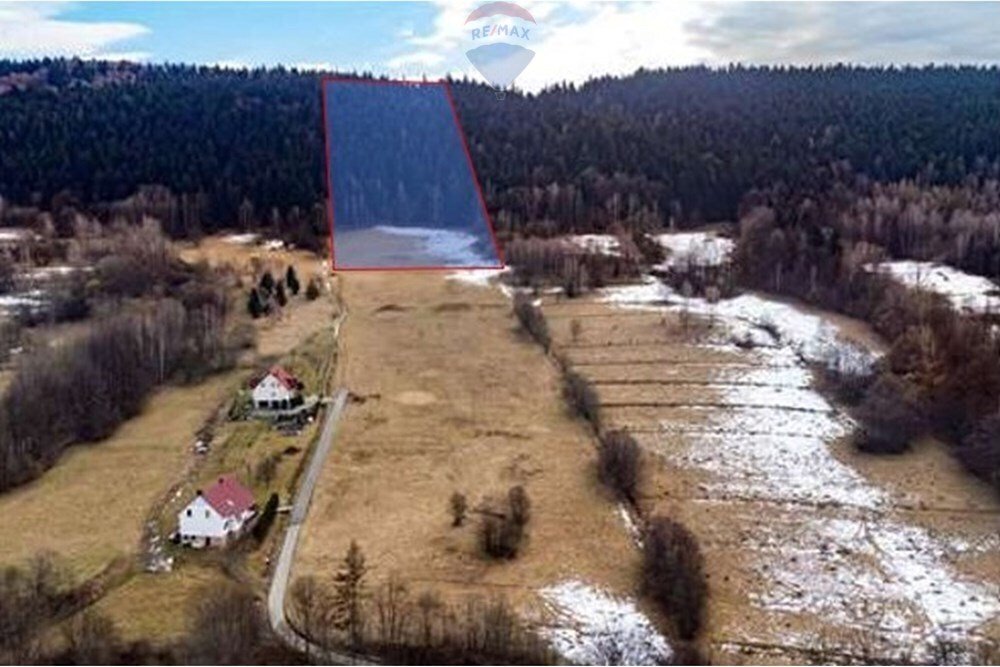 Działka budowlana na sprzedaż Las  23 200m2 Foto 1