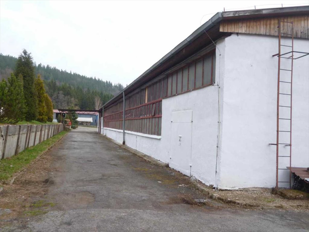 Lokal użytkowy na sprzedaż Szczytna  8 500m2 Foto 1