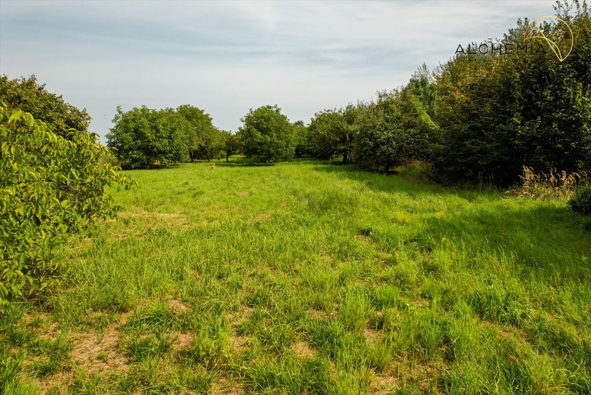 Działka budowlana na sprzedaż Babice Nowe, Dolna  5 683m2 Foto 9