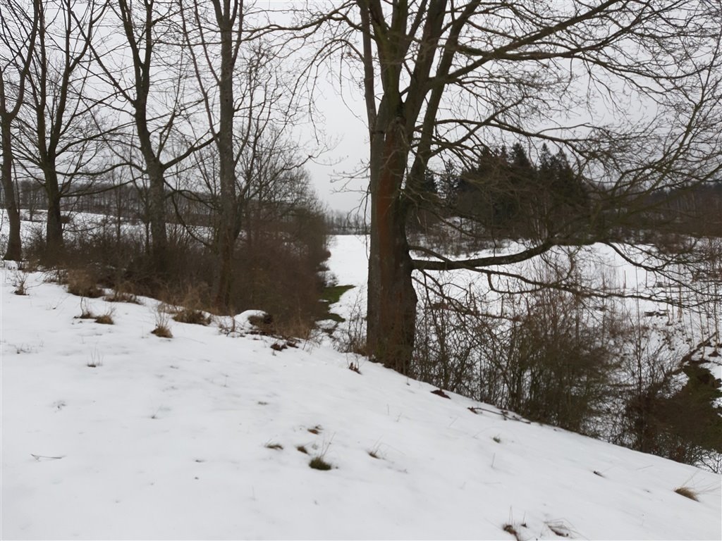 Malownicza działka 3195 m² z dostępem do lasu i pięknymi terenami Kowalowa  3 195m2 Foto 1