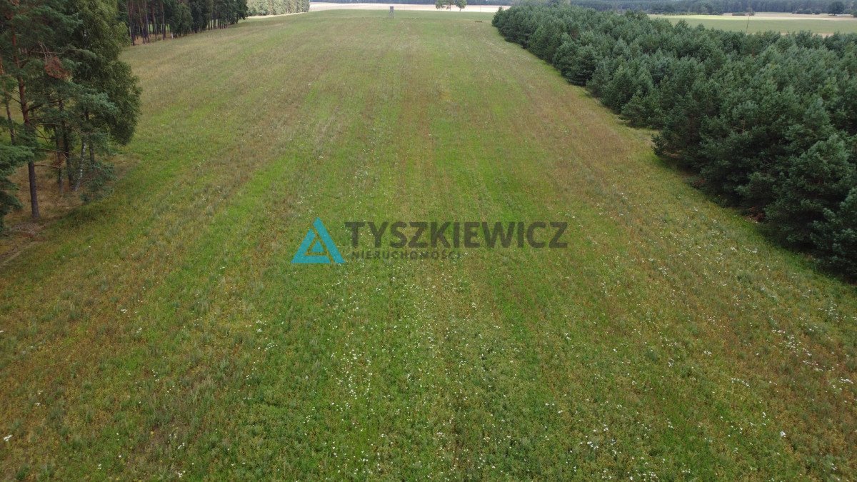 Działka rolna na sprzedaż Brzezinka  35 700m2 Foto 4