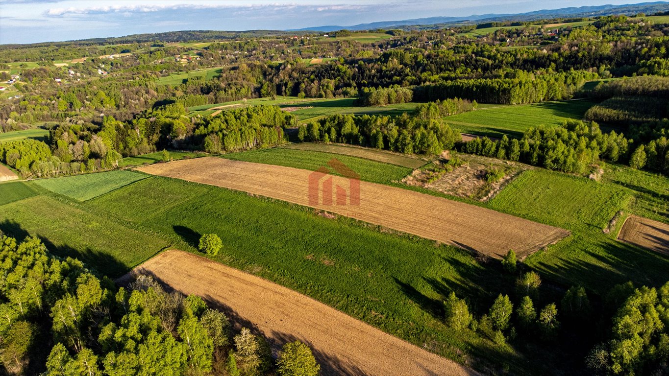 Działka rekreacyjna na sprzedaż Szkodna  4 000m2 Foto 8