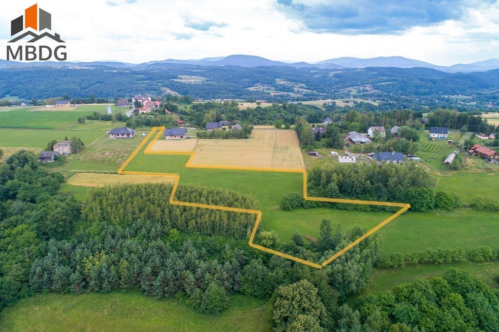 Działka budowlana na sprzedaż Zbydniów  8 800m2 Foto 5