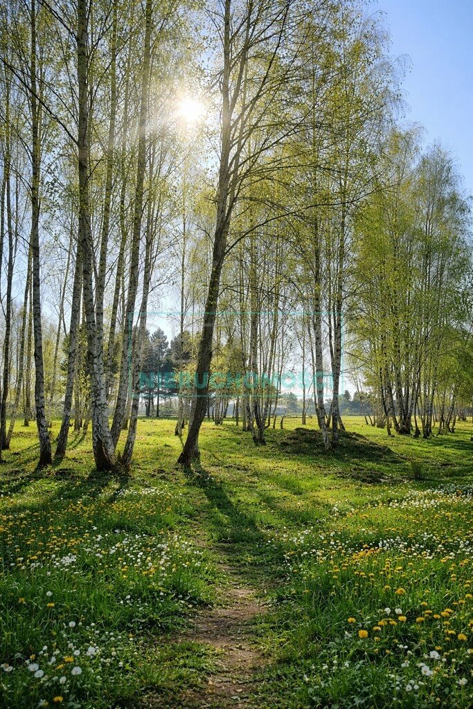 Działka 1100 m² w Radziejowicach z widokiem na park Radziejowice-Parcel  1 100m2 Foto 1