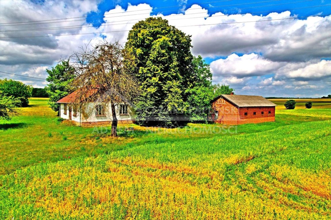 Działka budowlana na sprzedaż Józwów, Józwów  3 000m2 Foto 10