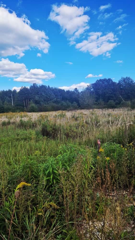 Działka inna na sprzedaż Potępa, Tarnogórska  1 001m2 Foto 1