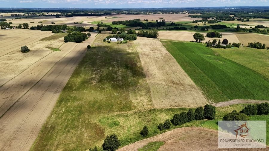 Działka rolna na sprzedaż Zagórzyce, Zagórzyce  10 800m2 Foto 7