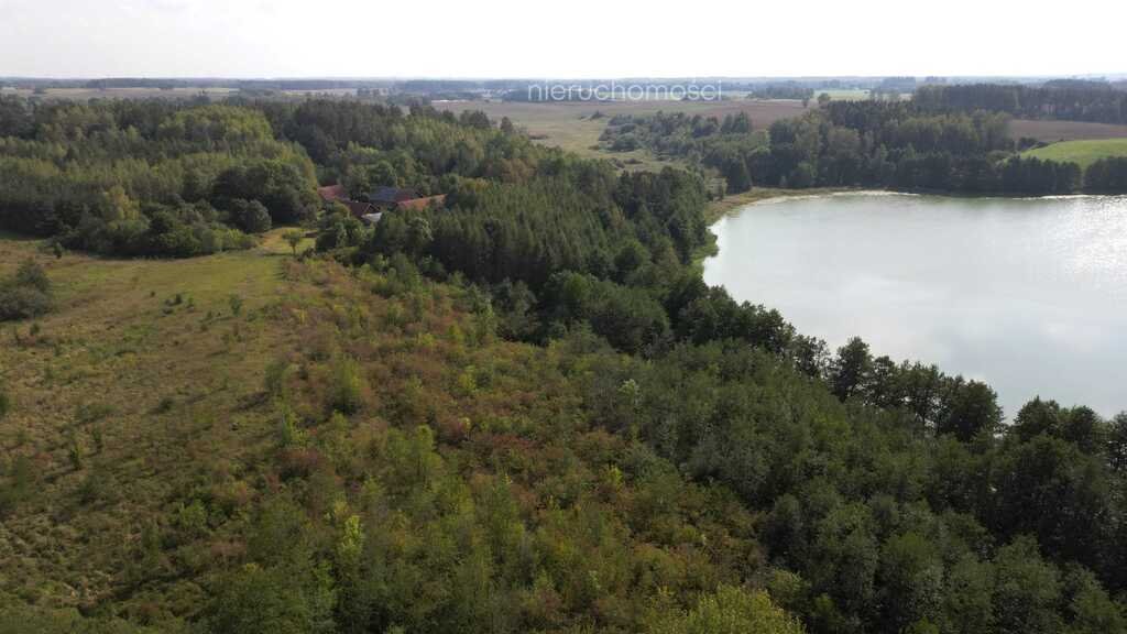 Działka inna na sprzedaż Mokiny  11 571m2 Foto 10