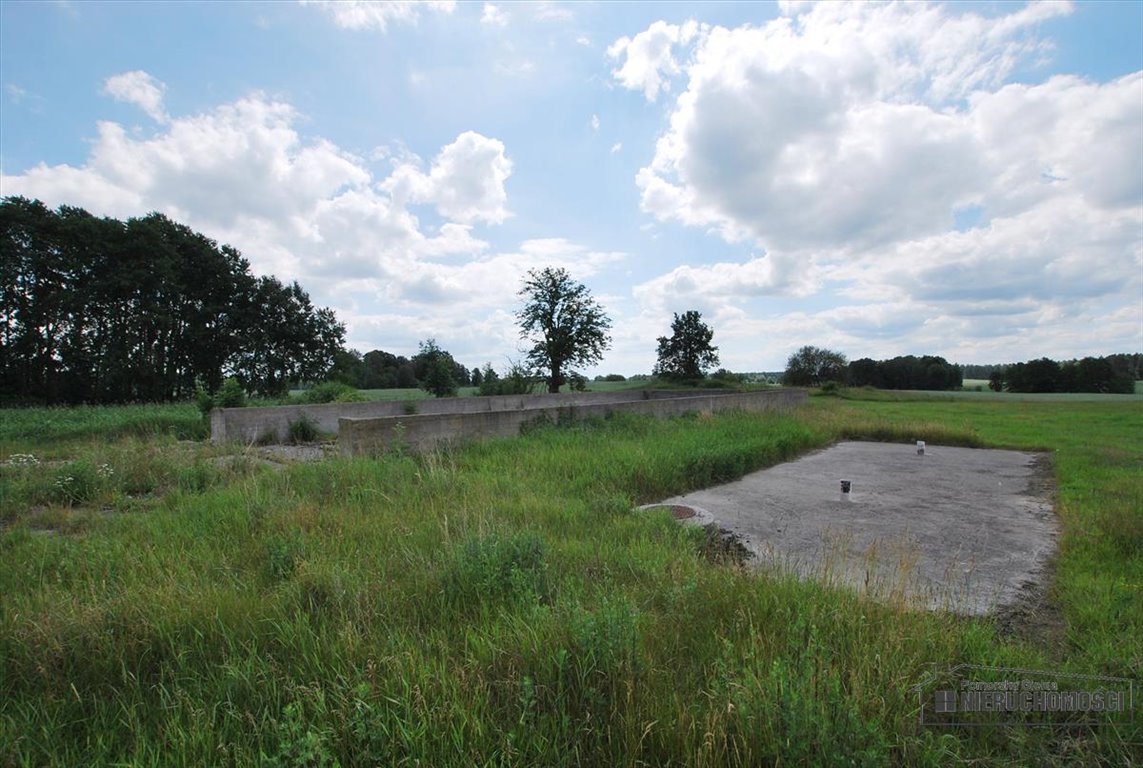 Lokal użytkowy na sprzedaż Brzeźnica  1 759m2 Foto 6