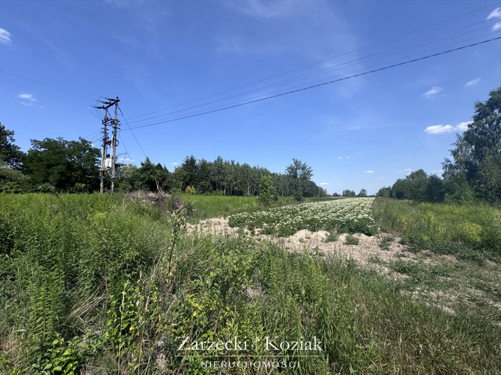 Działka budowlana na sprzedaż Cholewy  1 499m2 Foto 10