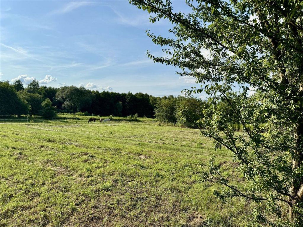 Działka budowlana na sprzedaż Rybnik, Grabownia  1 238m2 Foto 2