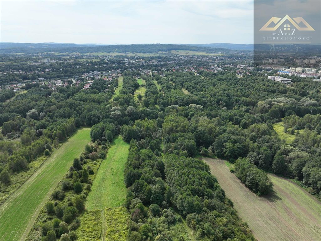 Działka budowlana na sprzedaż Tarnów  5 500m2 Foto 3