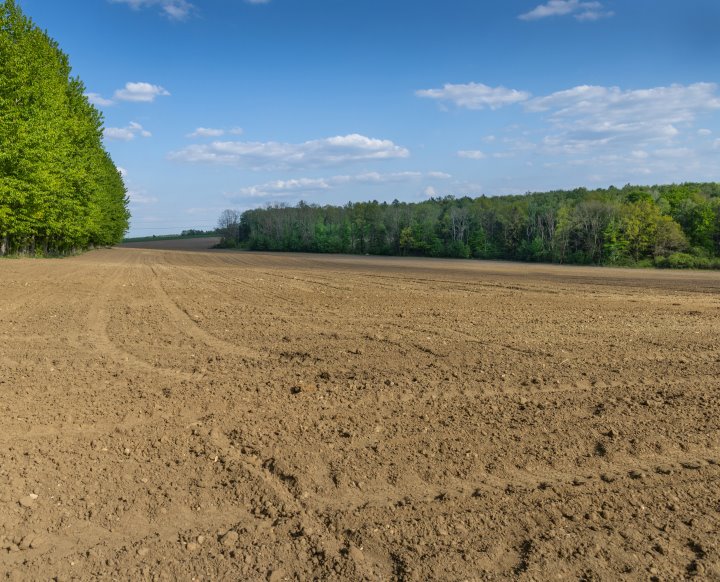 Działka rolna 29 500 m² z lasem i stawami w Mielenku Mielenko Gryfińskie  29 500m2 Foto 1