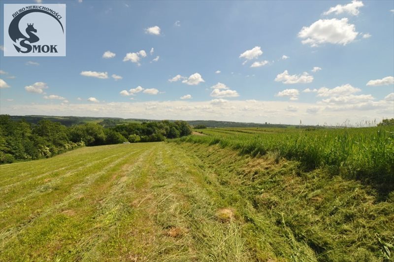 Działka rolna 15 000 m² z widokiem i dojazdem utwardzonym Wilczkowice  15 000m2 Foto 1