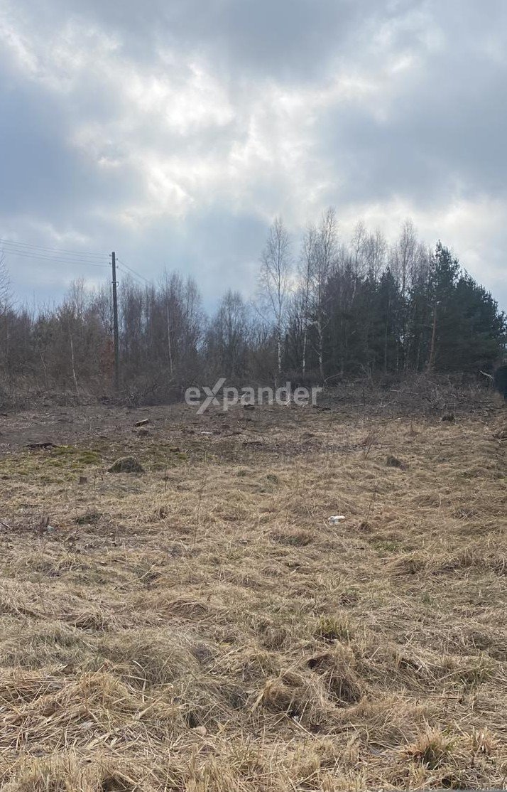 Działka budowlana na sprzedaż Jaskrów  5 970m2 Foto 1