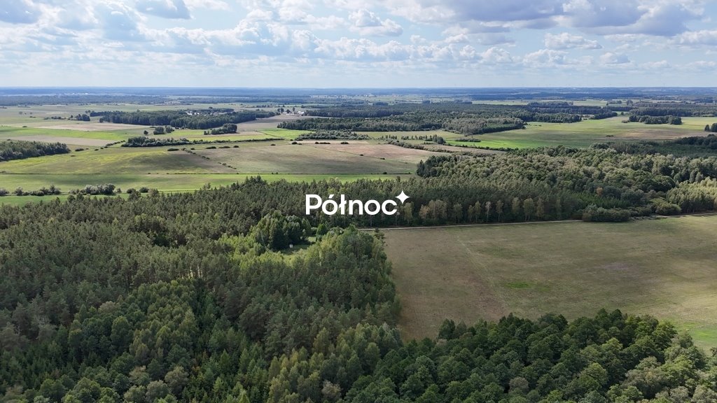 Działka 11,8 ha las brzozowo-sosnowy, zręb, 50 lat Pieńczykowo  118 093m2 Foto 1