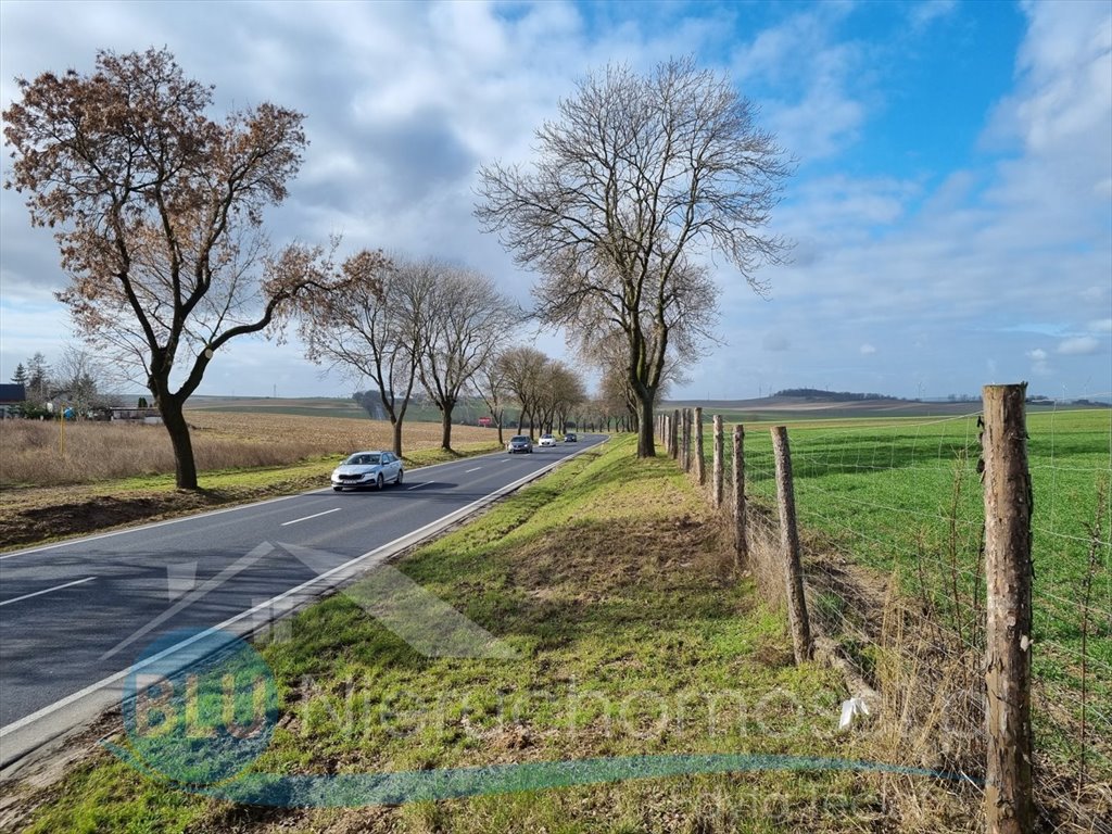 Działka komercyjna na sprzedaż Ruszowice  50 100m2 Foto 4