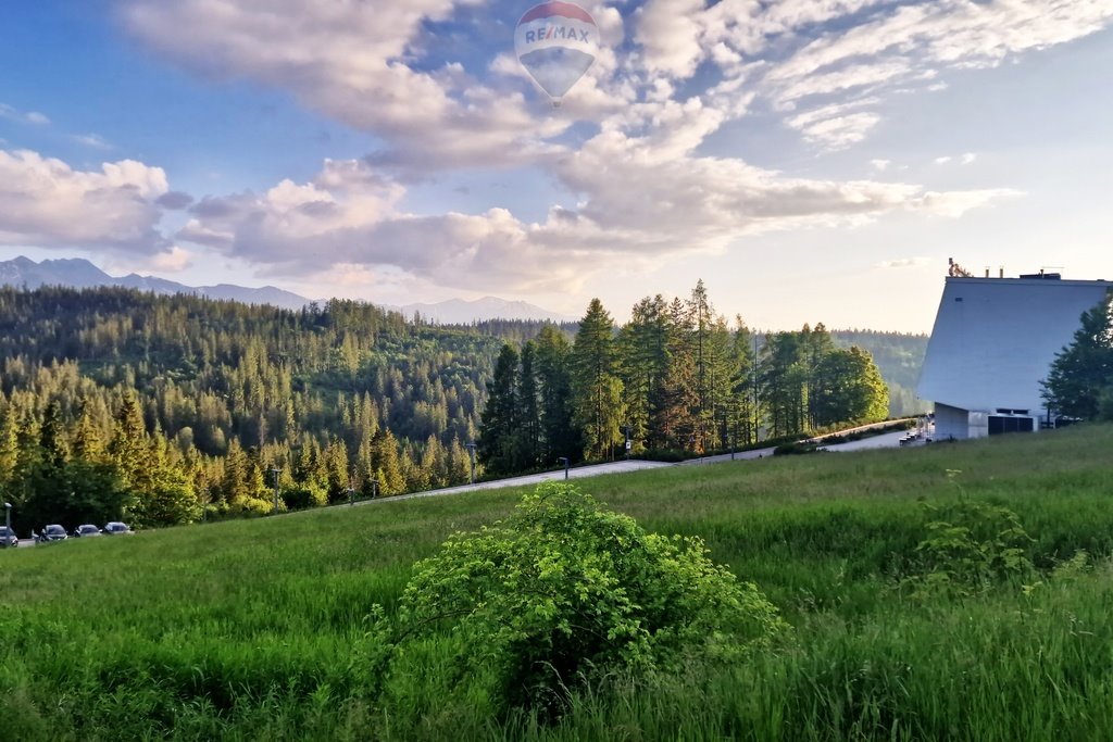 Działka rolna na sprzedaż Bukowina Tatrzańska, Wierch Olczański  2 437m2 Foto 4