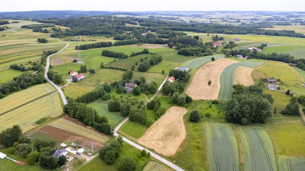 Działka budowlana na sprzedaż Niechobrz  18 300m2 Foto 4