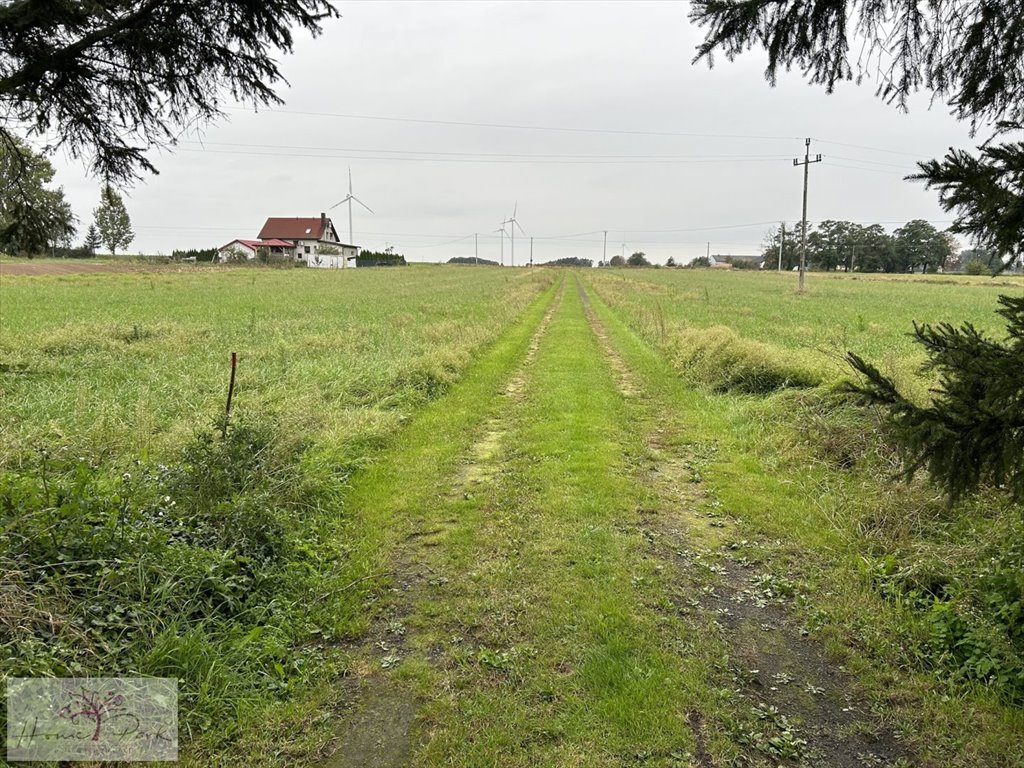 Działka budowlana na sprzedaż Wójcice  12 655m2 Foto 1