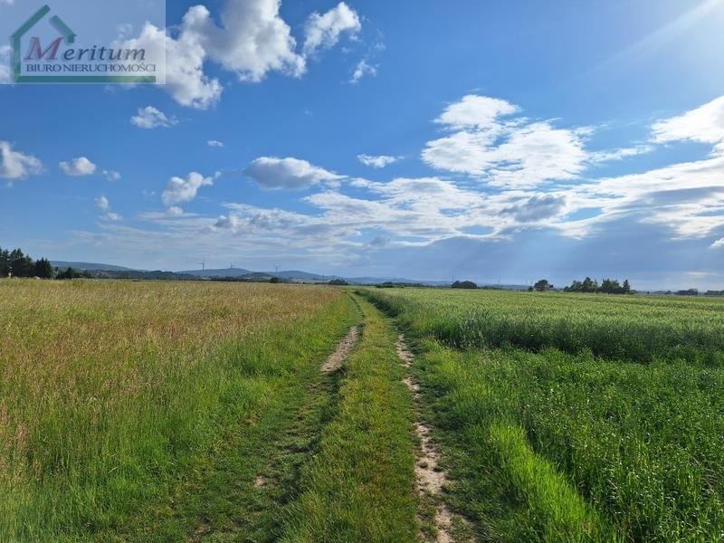 Działka rolna na sprzedaż Bzianka  3 088m2 Foto 2